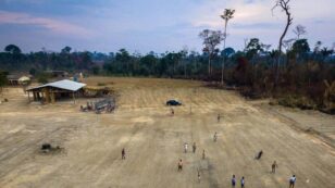Deforestation in Amazon Skyrockets to 12-Year High Under Bolsonaro