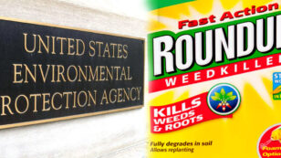EPA Bows to Industry in Delay of Glyphosate Cancer Review