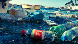 Plastic Trash Found in Ocean Animals Living 7 Miles Deep