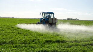 EPA Allowing Widespread Use of Unapproved Pesticides, Study Finds