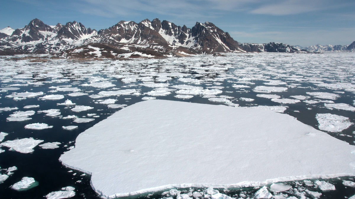 Earth Lost Over 30 Trillion Tons of Ice in Under 30 Years, Scientists ‘Stunned’ by Landmark Study