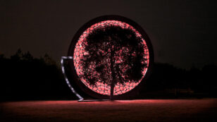 Dutch Artist Thijs Biersteker Gives Trees a Voice—in Lights