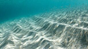 Heat Absorbed by Oceans Has Doubled Since 1997