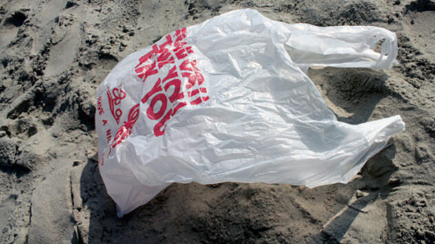 San Diego Bans Plastic Bags