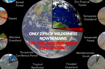 Humans Destroyed 10% of Earth’s Wilderness in Just 20 Years