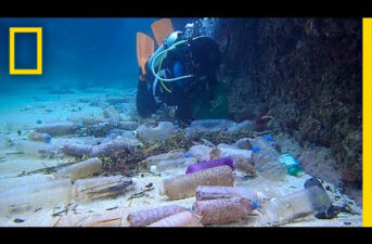 Wow! Shocking Video Shows Astonishing Amount of Plastic Polluting Our Planet