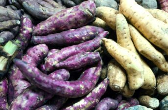 Could This Root Vegetable Help Alleviate World Hunger and End Soil Erosion?