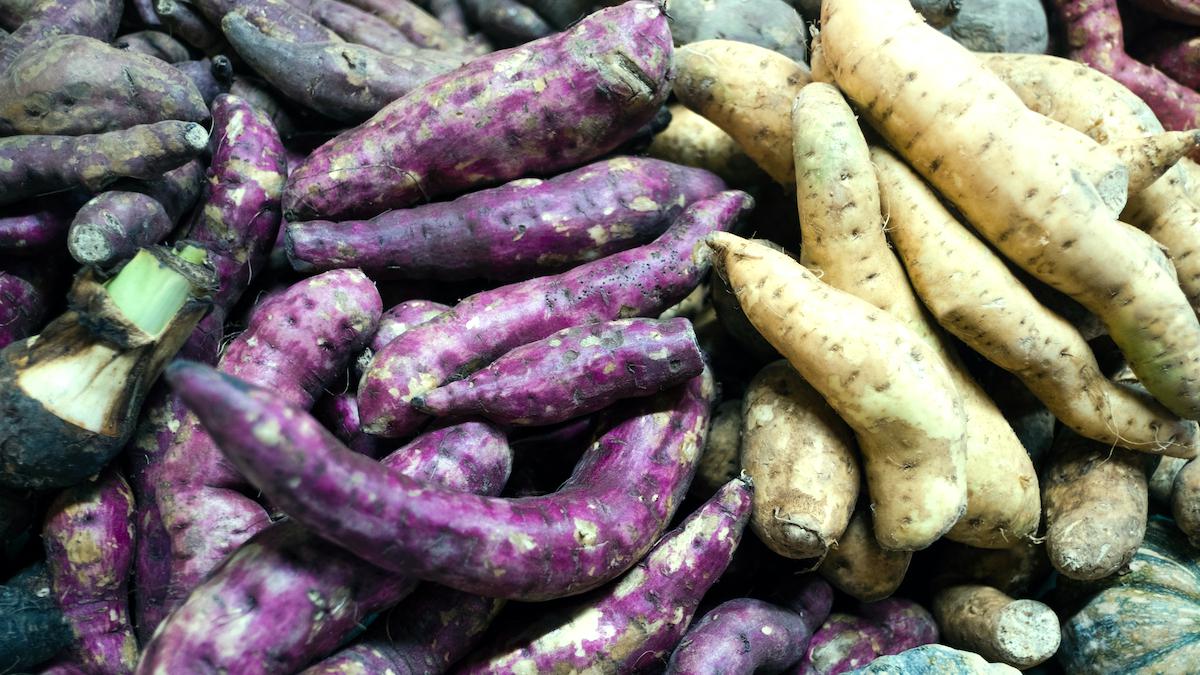 Could This Root Vegetable Help Alleviate World Hunger and End Soil Erosion?