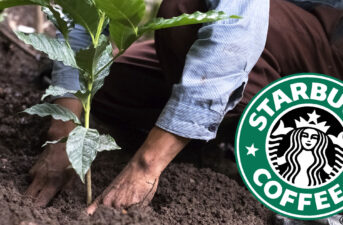 Starbucks Makes Special Delivery to Ensure the Future of Coffee