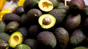 Scientists Crack the Genetic Code of the Hass Avocado
