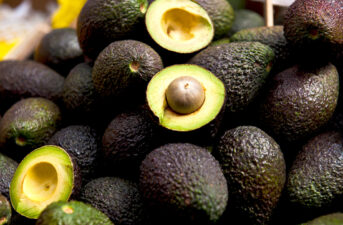 Scientists Crack the Genetic Code of the Hass Avocado