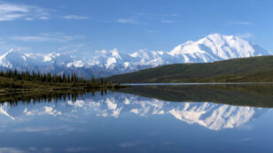 5 Reasons to Explore the Untamed Beauty of Denali National Park