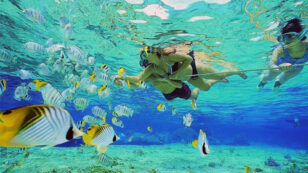 11 Best Snorkeling Spots in America