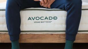 Why Sleep Organic? An Avocado Mattress Review