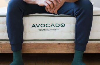Why Sleep Organic? An Avocado Mattress Review
