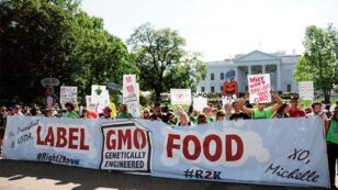 7 Reasons Why the U.S. Government Must Label GMOs