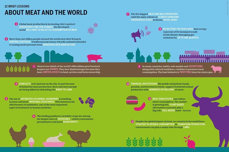 A Meat Atlas 2021 graphic summarizes meat's impact on the world.