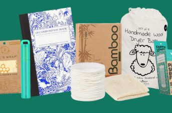 10 Sustainable Stocking Stuffers They’ll Actually Use (Under $20)