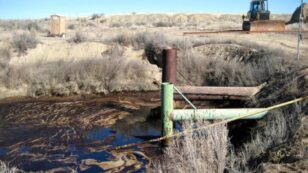 Chevron Pipeline Spills 4,800 Gallons of Oil on Public Land, Kills Wildlife
