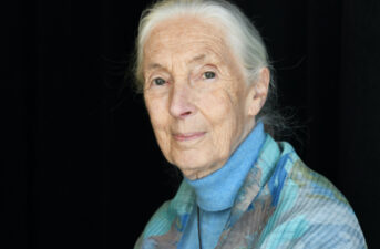 Jane Goodall on Conservation, Climate Change and COVID-19: ‘If We Carry on With Business as Usual, We’re Going to Destroy Ourselves’