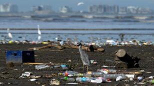 20 Companies Produce 55% of All Single-Use Plastic Waste, Report Finds