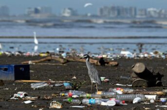 20 Companies Produce 55% of All Single-Use Plastic Waste, Report Finds
