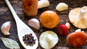 4 Reasons Why You Should Eat More Mushrooms