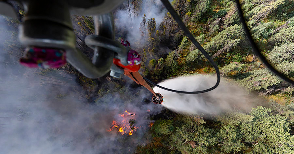 550,000 Acres on Fire in Alaska in Latest Sign of the Climate Crisis