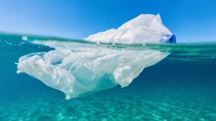Australia Cuts 80% of Plastic Bag Use in 3 Short Months