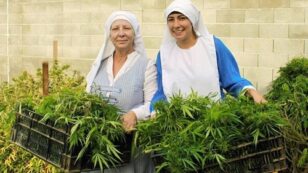 These California Nuns Grow Medical Marijuana, But Their City Wants to Shut Them Down