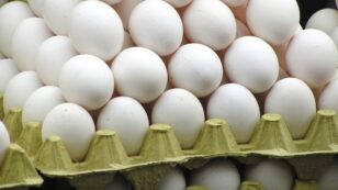 206 Million Eggs Recalled After Salmonella Outbreak, 22 Sickened
