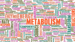 7 Ways to Increase Your Metabolism