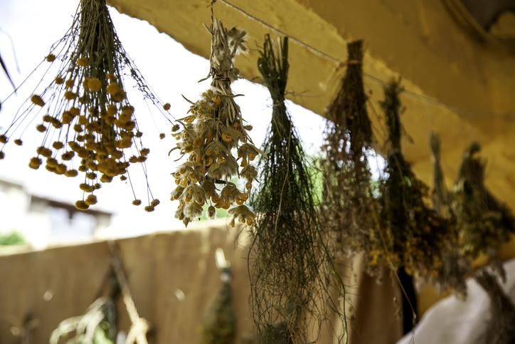 Dried medicinal herbs 