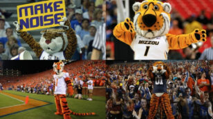 4 College Football Teams Take on ‘Moral Responsibility’ to Protect Wild Tigers