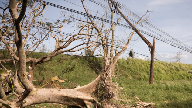 Whitefish Charges Puerto Rico $319 an Hour for Linemen, Then Pays Them $63 an Hour