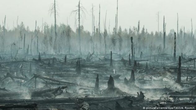 Russia Declares Emergency Over Huge Wildfires in Siberia