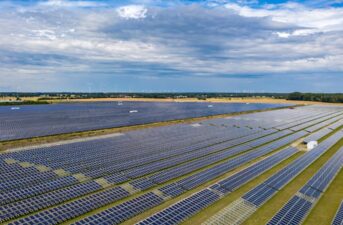 Power Above, Berries Below: Farmers Reap Double Benefits With Solar Power in Fields