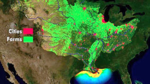 Near Record ‘Dead Zone’ Predicted for Gulf of Mexico