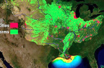 Near Record ‘Dead Zone’ Predicted for Gulf of Mexico