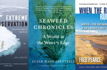 Orangutans, Drones, Seaweed and Water Wars: The 13 Best New Eco-books for August