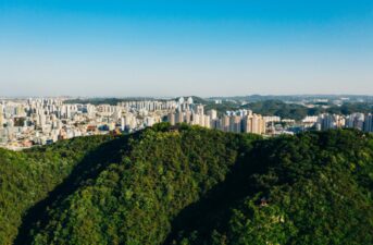 South Korea to Plant 3 Billion Trees to Help Reach Carbon Neutrality by 2050