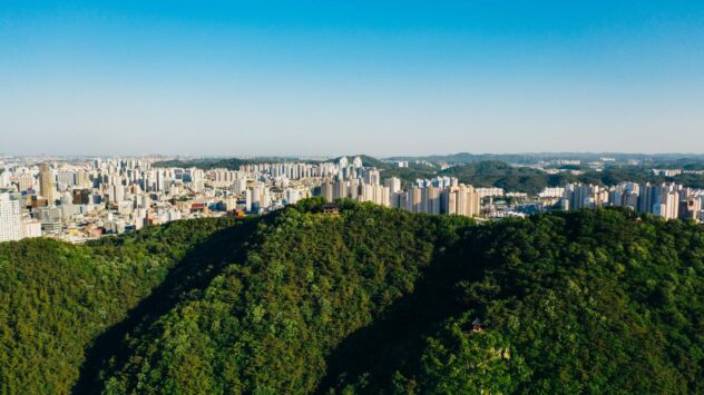 South Korea to Plant 3 Billion Trees to Help Reach Carbon Neutrality by 2050