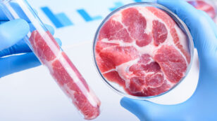Most Meat Will Be Plant-Based or Lab-Grown in 20 Years, Analysts Predict