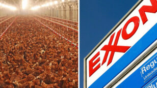 Greenhouse Gas Emission Giants: Why Tyson Foods Rivals Exxon