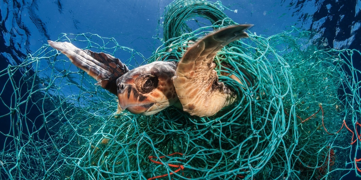 640,000 Metric Tons of Ghost Gear Enters Oceans Each Year - EcoWatch