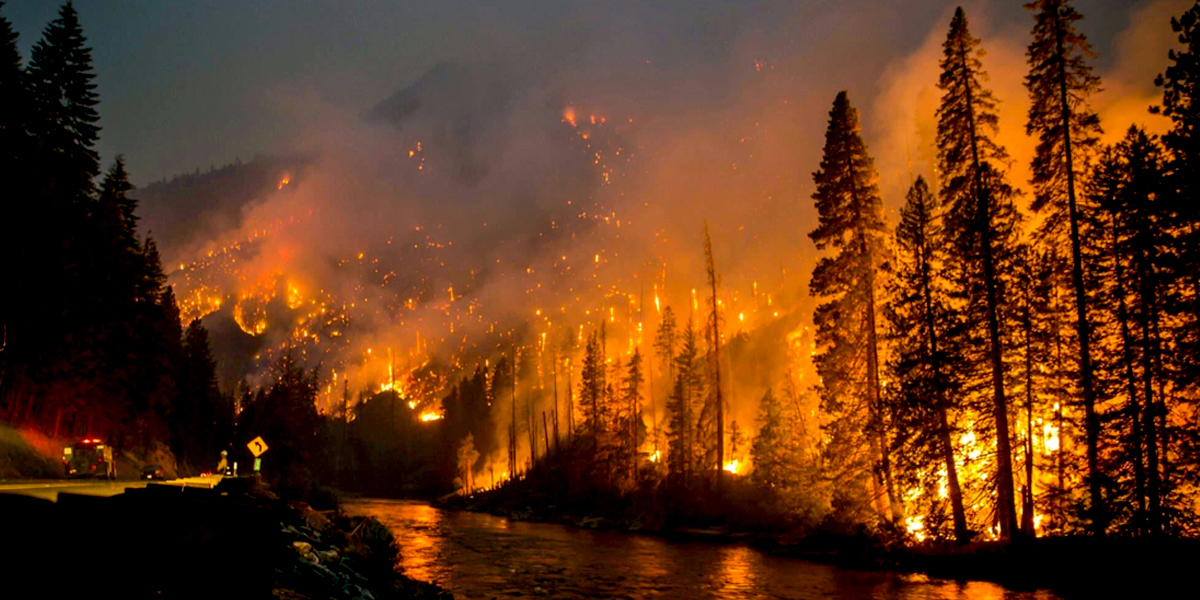 Unprecedented ‘Super Fires’ Devastate Smoky Mountains, Death Toll Climbs to 11