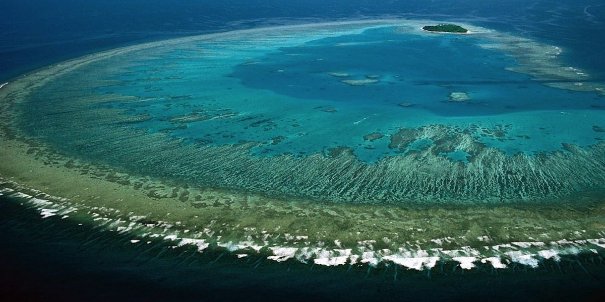 Scientists Discover 'Most Diverse Coral Site' on Great Barrier Reef - EcoWatch
