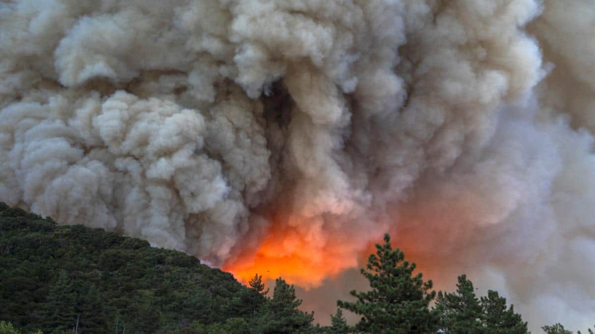 What Wildfire Smoke Plumes Reveal About Air Quality Over Time