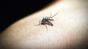 New Research Shows Malaria Can Spread In Cooler Climates