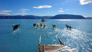 ‘This Should Scare the Hell Out of You’: Photo of Greenland Sled Dog Teams Walking on Melted Water Goes Viral